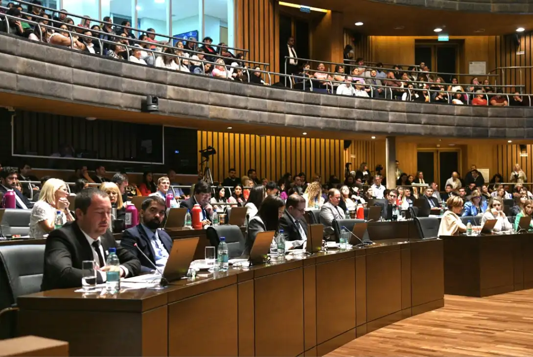 La Legislatura de Misiones sancionó una nueva ley para el abordaje integral del cáncer de páncreas